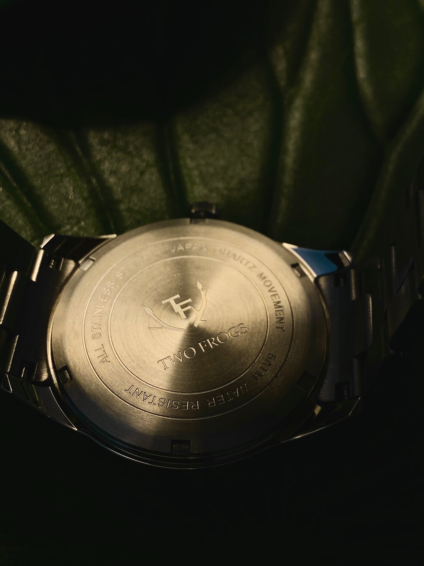 Steel Frog Watch 33.5MM